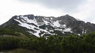 Blick über Latschenkiefern auf Bergmassiv