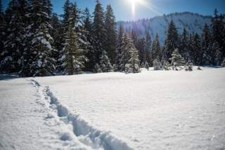 Spuren im Schnee in Winterlandschaft in den Bergen
