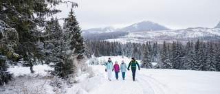 Familie wandert im Winter in den Bergen