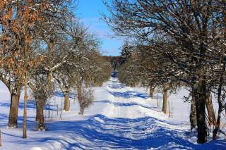 Winterlicher Wanderweg bei Sonnenschein Winterlicher Wanderweg bei Sonnenschein