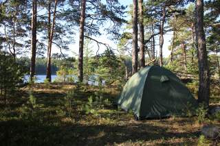 Grünes Zelt in Wald vor See
