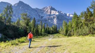 Zustieg durch lichten Wald zum Bergführerweg Eisenzeit auf die Zugspitze