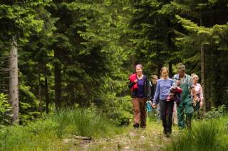Eine Gruppe Menschen läuft duch den Wald auf dem Weg zur Aktion Schutzwald