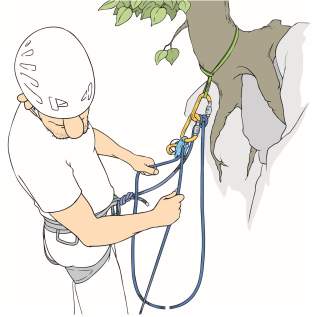 Illustration Baumstand