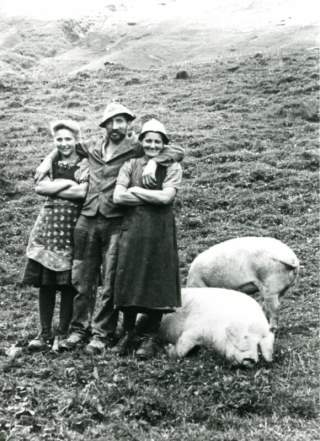 Schwarz-Weiß-Foto von drei Bauersleuten auf der Alm mit Schweinen