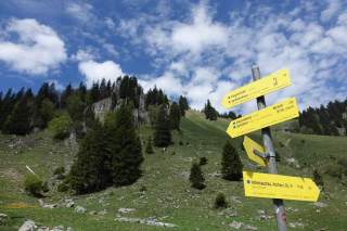 Auf der Angereralm, Foto: Axel Klemmer