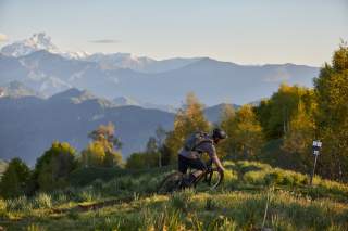 Ein Mountainbiker fährt auf einem schmalen Pfad durch eine grüne Berglandschaft, im Hintergrund sind hohe, schneebedeckte Gipfel und blauer Himmel zu sehen.