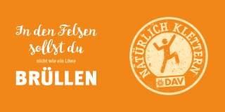 bruellen teaser