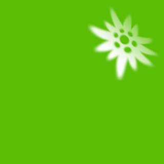 default-teaser-bild-1x1_id62646.jpg