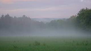 Morgenstimmung auf dem Natursteig Sieg