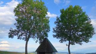 Hütte auf Anhöhe zwischen zwei Bäumen