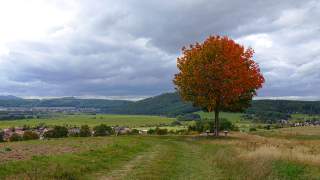 Herbstimpression vom thüringischen Werra-Burgen-Steig
