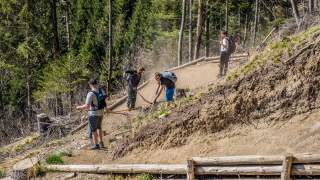 Mehrere Personen bearbeiten einen Weg mit Rechen