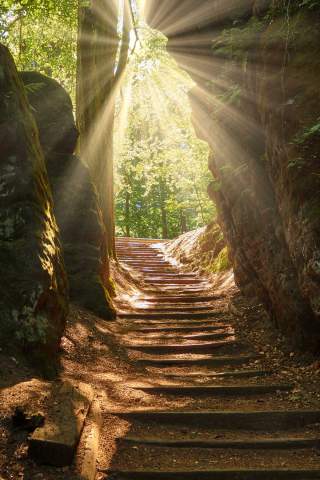 Ausgeleuchtet: Wanderweg in der Sächsischen Schweiz. Foto: AdobeStock