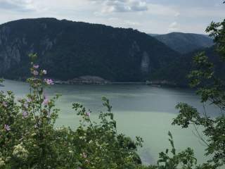 Blick auf Donau