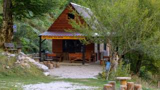 Kleines Holzhaus mit überdachter Terrasse, umgeben von grünen Bäumen und Sitzgelegenheiten aus Baumstämmen auf einer Wiese davor.