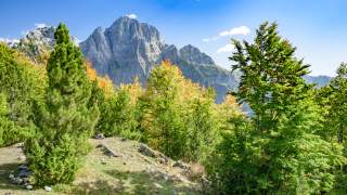 Berglandschaft mit steilem, grauen Felsen im Hintergrund und einem bunten Mischwald aus grünen und herbstlich gefärbten Laub- und Nadelbäumen im Vordergrund unter blauem Himmel.