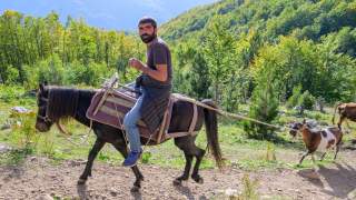 Ein Mann reitet auf einem Pferd in einer bergigen, bewaldeten Landschaft, während eine Ziege an einem Strick hinter dem Pferd läuft.