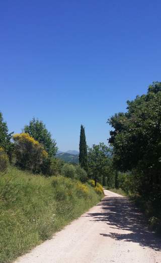 Einsam Pilgern auf dem Franziskusweg. Foto: Martina Lenzen-Schulte