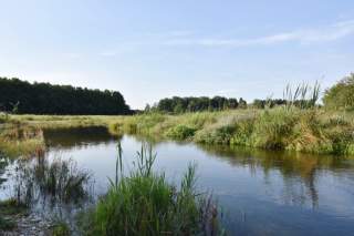 Gewässer im Freisinger Moos