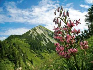 Einst umkämpft, heute Naturschutzgebiet ohne Seilbahn: der Geigelstein in den Chiemgauer Alpen. Foto: Gemeinde Schleching