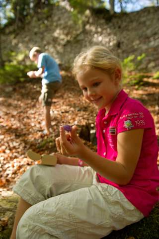 Kinder im Wald