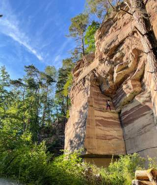 goettingerwald_peterbrunnert.jpg