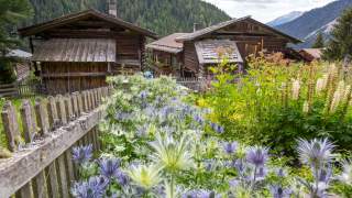 Blühender Garten und Holzhäuser im Hintergrund