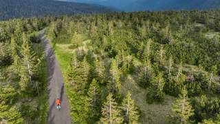 Luftaufnahme eines Radfahrers auf einem asphaltierten Weg, der durch einen dichten Nadelwald in bergiger Landschaft führt, mit bewölktem Himmel im Hintergrund.