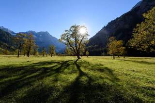 Großer Ahornboden im nördlichen Karwendel