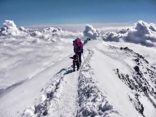 Frau mit Labrador auf schneebedecktem Grat