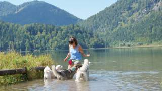 Frau mit drei Hunden in See