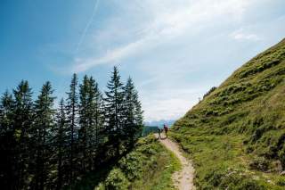 Zwei Menschen wandern auf Bergweg bei Sonnenschein