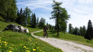 Mountainbiker in der Abfahrt auf einer Forststraße