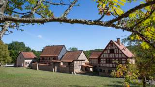 Blick auf eine historische Hofanlage mit Fachwerkhäusern und roten Ziegeldächern, eingerahmt von einem Baumzweig im Vordergrund und einem klaren blauen Himmel.