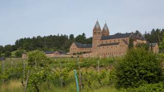 Ein Klostergebäude oberhalb eines Weinbergs: große Steinbauten und zwei Kirchtürmen, umgeben von Weinreben und grünen Hügeln unter klarem Himmel.