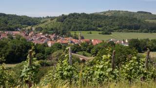 Blick über grüne Weinreben auf ein Dorf mit roten Dächern und einer Kirche vor bewaldeten Hügeln unter blauem Himmel.