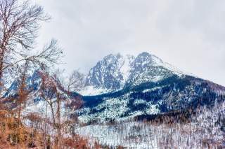 Vom Wind gezeichnet - 2004 zog ein Orkan über die Hohe Tatra und zerstörte viel Fichtenwald. Foto: Nikolett Emmert/Pixabay