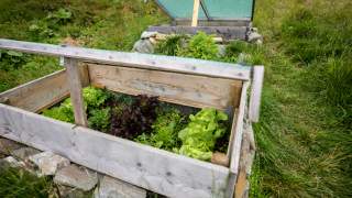 Hochbeet mit Salatanbau