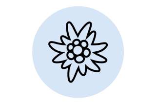 icon-sektionen-a-l-m.jpg