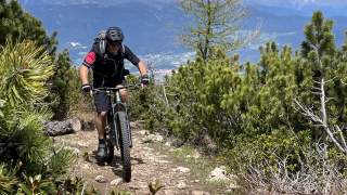 Mountainbiker auf Pfad zwischen Latschen