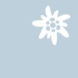 Das JDAV-Edelweiß auf hellgrauem Grund