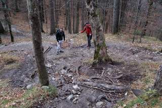 Tobias Heß (1. Vorsitzender) und Max Lantenhammer (Wegewart) von der Sektion Tutzing inspizieren die kaputten Wege am Jochberg. Foto: Bernd Ritschel
