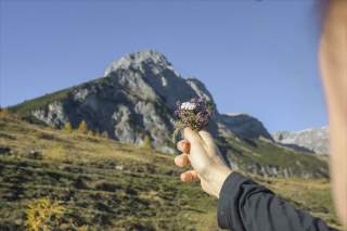 Eine Person hält eine handvoll Wildkräuter in die Kamera. Im Hintergrund ist ein Berg zu sehen.