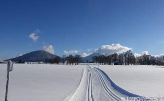 Verschneite Winterlandschaft mit Langlaufloipe