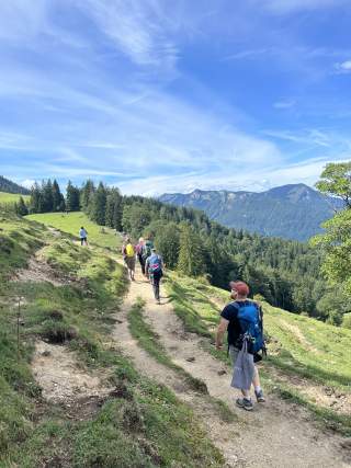 Teilnehmer*innen auf einer Kräuterwanderung.