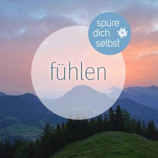 Ein Sonnenuntergang in den Bergen. Auf der Alm stehen einige Bäume.