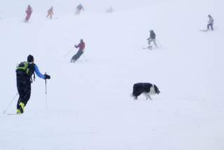 Hund auf der Piste? Nur außerhalb des Skibetriebs.