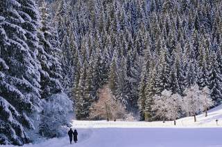 Zwei Menschen spazieren im Schnee