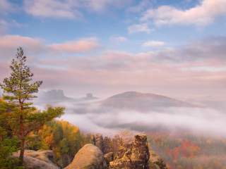 Leben an exponierter Stelle auf Elbsandstein. Foto: Norbert Pietsch/pixabay